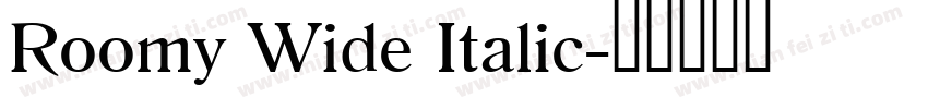 Roomy Wide Italic字体转换